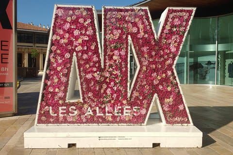 Visita guiada em Aix-en-Provence: cidade velha histórica