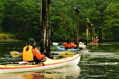 Ucluelet Harbour Tour
