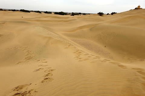 Jaisalmer One Day Sightseeing Tour