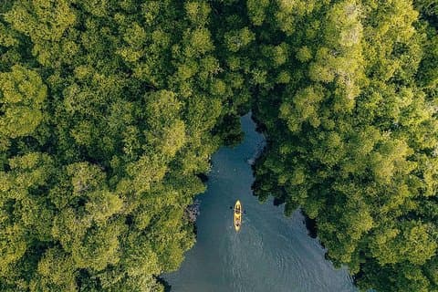 Madu River Sunrise Mangrove Kayaking