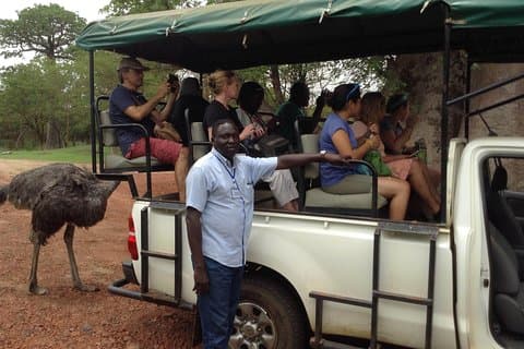 Full-day Bandia / Somone Lagoon: The safari experience