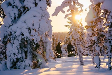 1-stündiges Schneemobil-Safari-Erlebnis