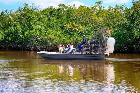 Parti da Miami per scoprire le Everglades con il tour Airboat incluso!