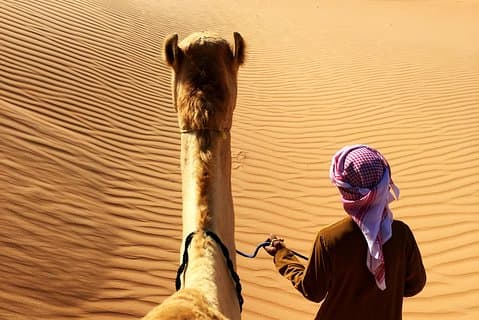 Sunrise Desert Safari fra Abu Dhabi
