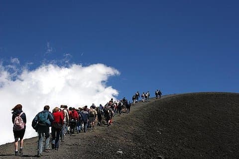 Private Etna Craters Tour & Organic Lunch in Panoramic Winery
