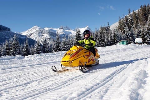 Recorrido en motonieve para toda la familia en Whistler