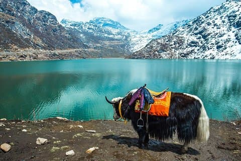 Ausflug nach Nord Sikkim Lachen und Lachung 6 Tage