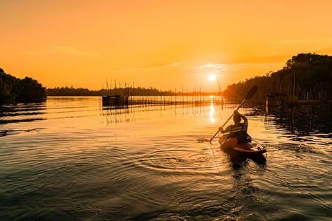 Madu River Sunrise Mangrove Kayaking from Bentota