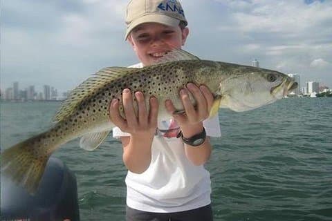 6-timmars Miami Inshore fisketur