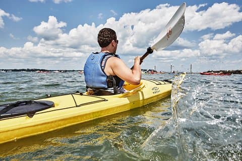 Casco Bay Half-Day Sea Kayak Tour