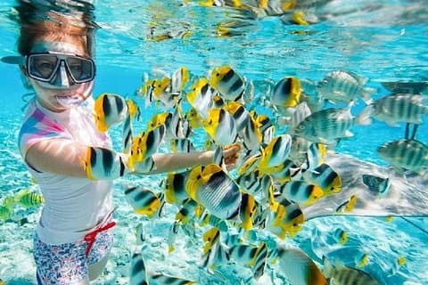 Giftun Island Snorkletur med frokost