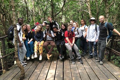 Jozan forest tour