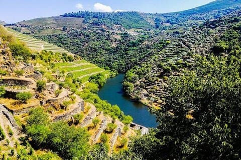 Best of Douro Valley Wine Full Day Private Tour