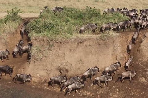 3 Days Best Of Kenya