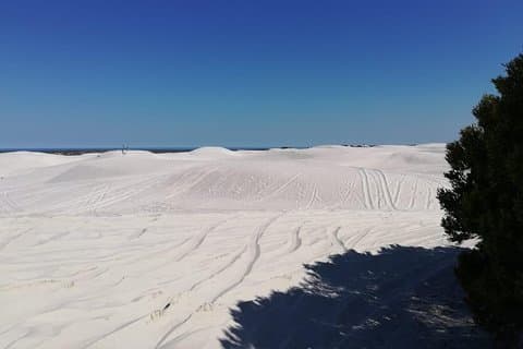 Senderismo guiado y educación ambiental: Atlantis Sand Dunes