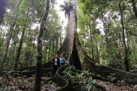 Amazing Jungle 3Days 2Nights - Amazon Wonder Expeditions