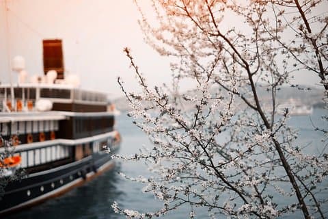 Traslado privado: Viena al muelle de cruceros por el río Nuremberg - Puerto / puerto de transporte