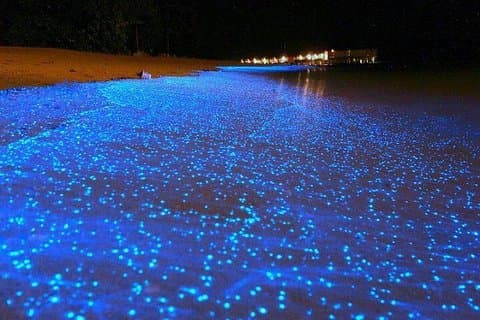 Luminous Lagoon Tour from Grand Palladium