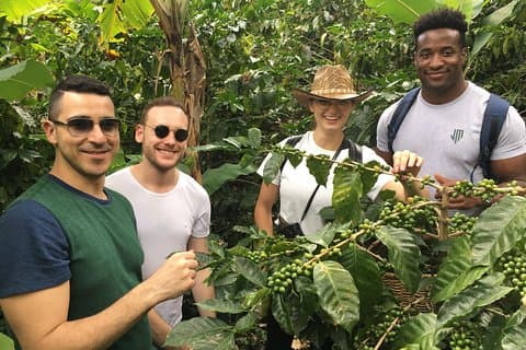 Tour de Café Tradicional de Birds & Beans