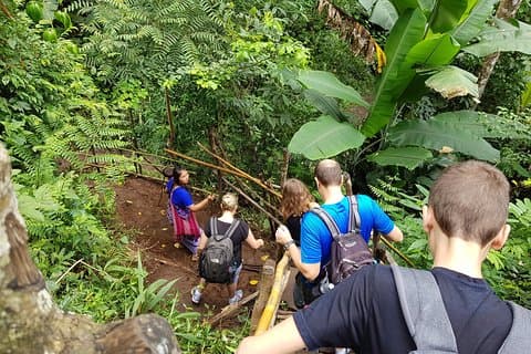 Private Tour: Doi Inthanon National Park & Hiking