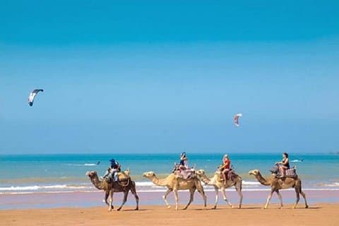 Excursion d'une journée à Essaouira (côté mer)