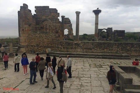 Tagesausflug nach Volubilis und Meknes