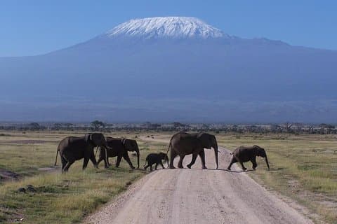 Private Adventure: Amboseli Park og Kilimanjaro utsikt