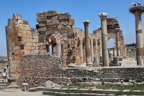 Road trip aux ruines romaines et à Meknès