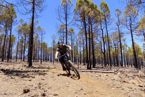 Escursioni in mountain bike
