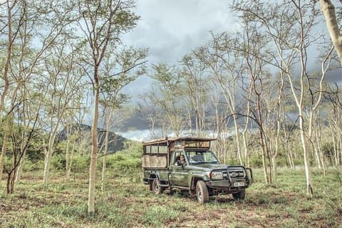 Mkuze (uMkhuze) Game Drive - Full day with lunch