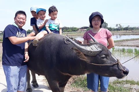 Radfahren, Büffel, Korbbootfahrt in Hoi An