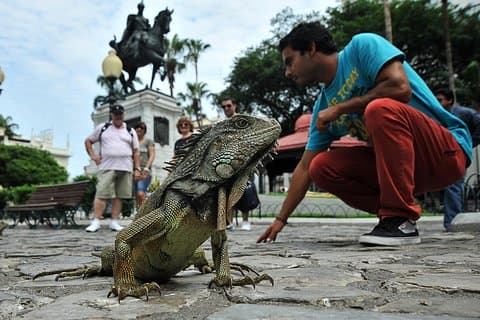Visite privée de la ville de Guayaquil