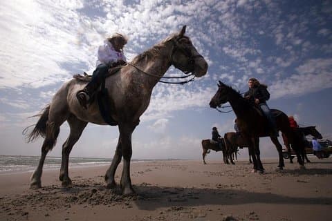 Reiten Agadir