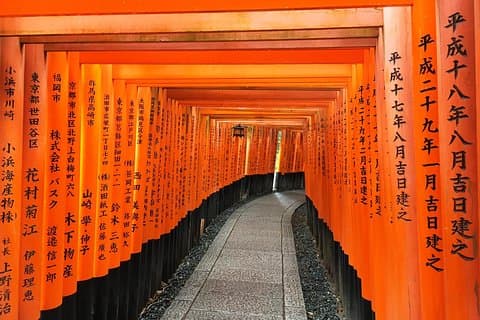 Syd Kyoto i et nøddeskal: Blid Backstreet Bike Tour!
