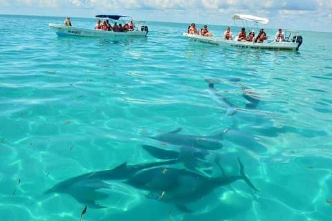 Snorkeling à Sian Ka'an