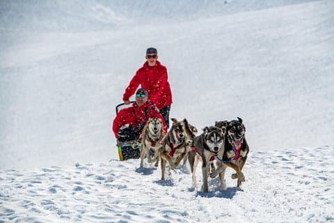 Anchorage Helicopter Glacier Dogsledding Tour