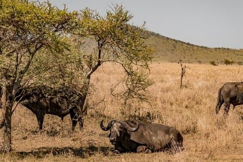 7 dagar 6 natt i södra Tanzania