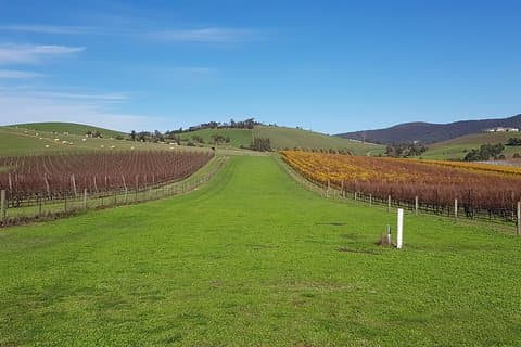 Private, Luxury and Tailored Yarra Valley Wine Tour