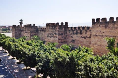 Excursie Taroudant & Palmeraie Tiout