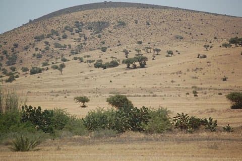 Piccolo deserto in 4x4