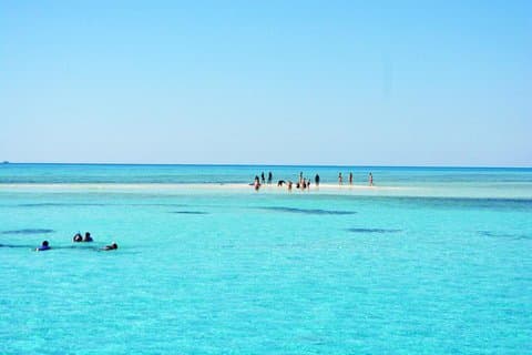 Viaje de buceo a la Isla Blanca y Ras Mohammed