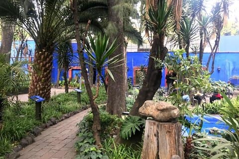 コヨアカンとフリーダカーロ博物館を訪れるプライベートツアー