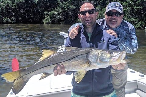 Fyra timmars fiskecharter med en Tampa-inföding