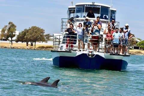 Crucero con delfines en Mandurah y vistas