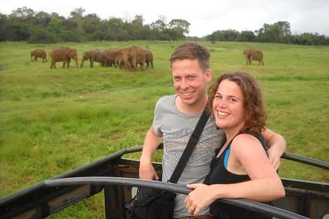 Safari guidé des éléphants : Minneriya ou Kaudulla