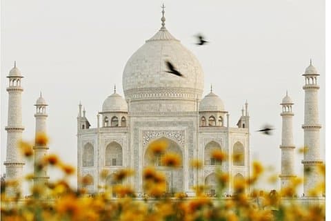 Övernattning till Delhi och Agra
