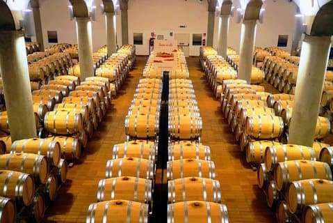 Degustación en bodega en Marsala y visita a la laguna de Mothia
