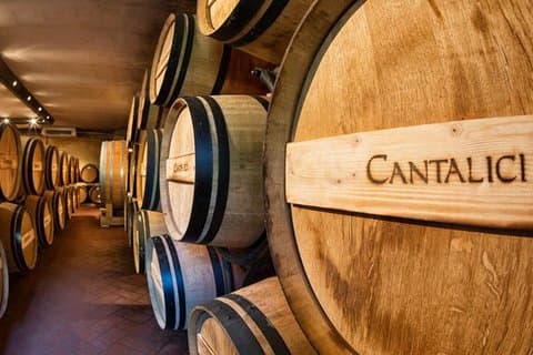 Degustação de vinhos na histórica vinícola Cantalici
