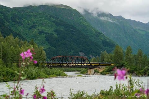 Bears, Trains & Icebergs Tour
