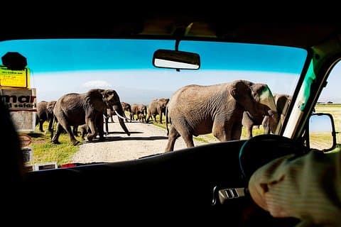 2-tägige Amboseli National Park Safari - tägliche Abfahrten